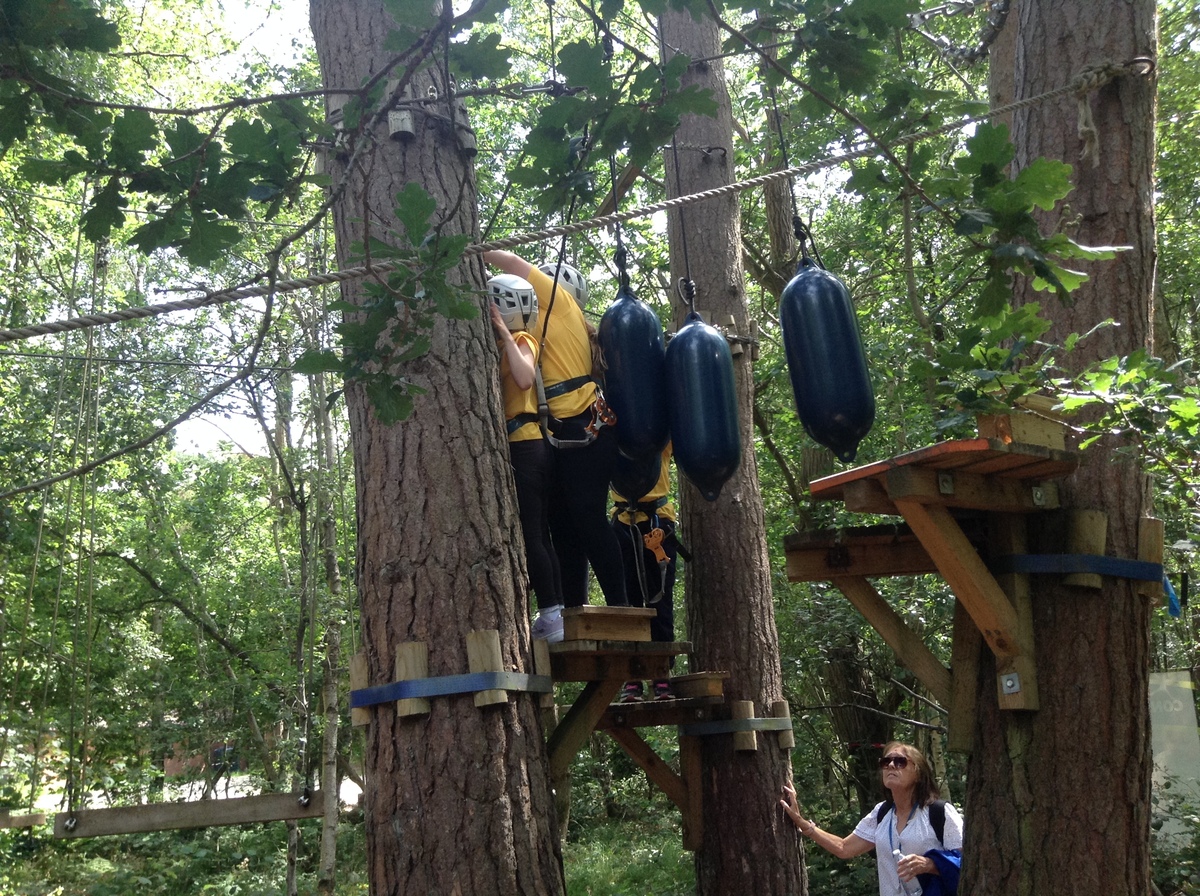 Wild Pines Park 